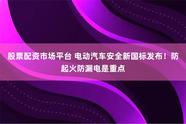股票配资市场平台 电动汽车安全新国标发布！防起火防漏电是重点