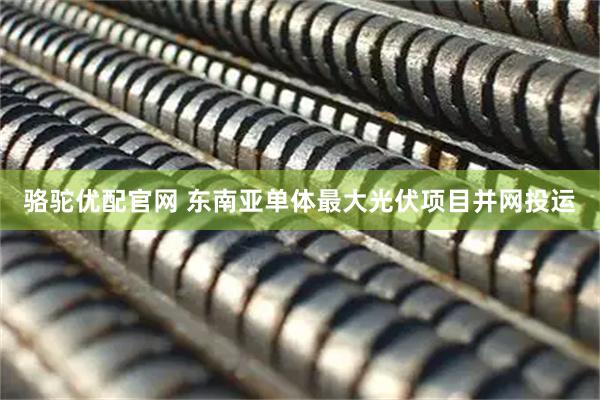 骆驼优配官网 东南亚单体最大光伏项目并网投运